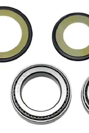 221009 CUSCINETTI STERZO KAWASAKI EN 450, GPZ 550/750,VN 900, VN 800 ENTRAX APPLICAZIONI Novità